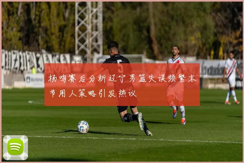 杨鸣赛后分析辽宁男篮失误频繁末节用人策略引发热议